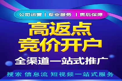 企业SEM服务实战案例解析